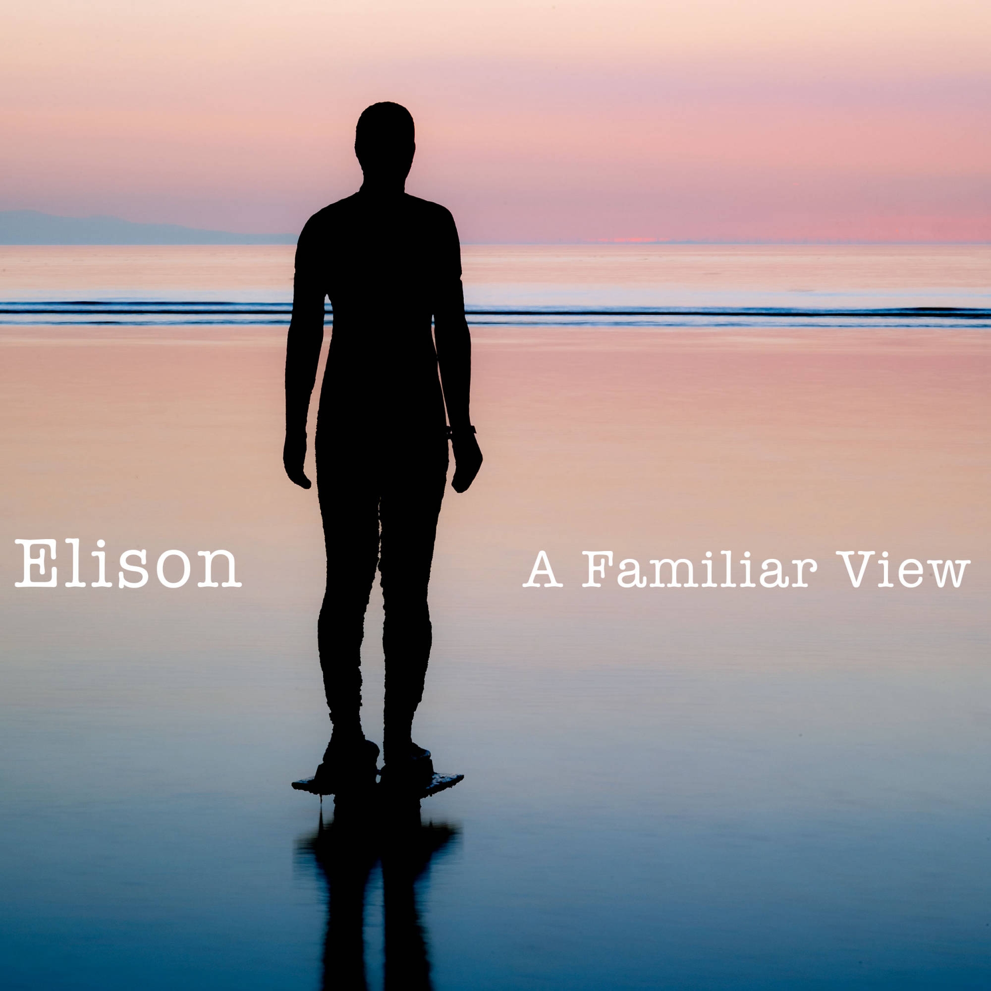 A Familiar View by Elison front cover